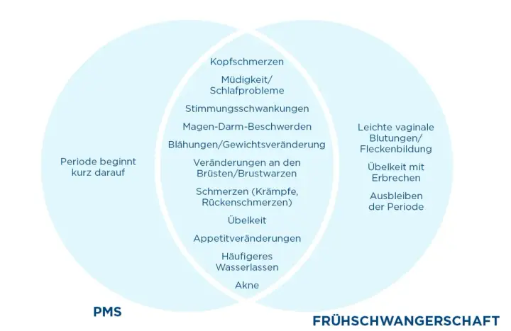 Venn-Diagramm zeigt PMS-Symptome und Frühschwangerschafts-Anzeichen. Manche Symptome ähneln sich, was zu Verwirrung führen kann, ob man schwanger trotz Periode ist.