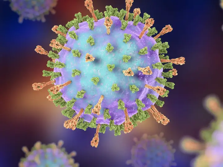 Detailansicht eines Mumpsvirus. Selbst nach einer Impfung können Viren wie dieser Mumpserreger eine Infektion verursachen.